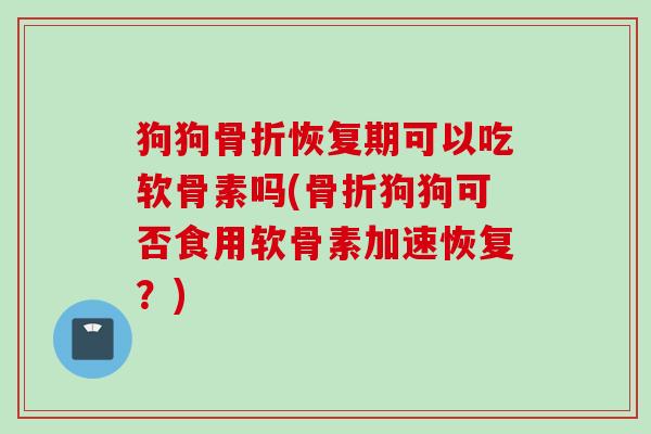 狗狗骨折恢复期可以吃软骨素吗(骨折狗狗可否食用软骨素加速恢复？)