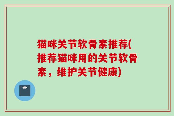 猫咪关节软骨素推荐(推荐猫咪用的关节软骨素，维护关节健康)