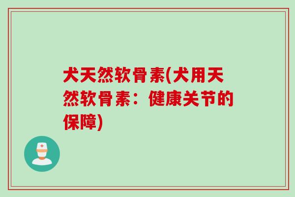 犬天然软骨素(犬用天然软骨素：健康关节的保障)