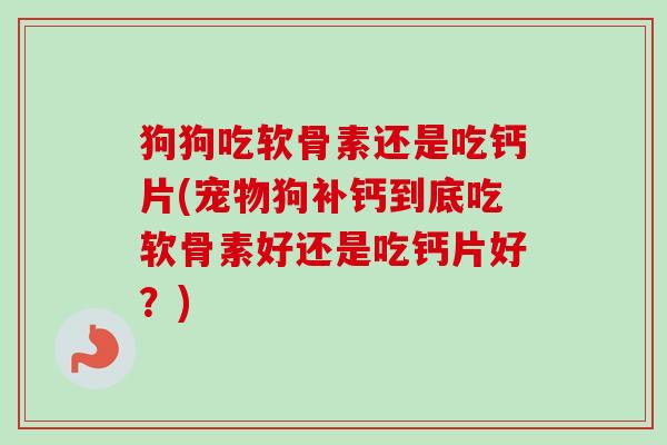 狗狗吃软骨素还是吃钙片(宠物狗补钙到底吃软骨素好还是吃钙片好？)