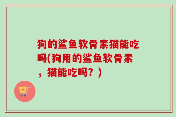 狗的鲨鱼软骨素猫能吃吗(狗用的鲨鱼软骨素，猫能吃吗？)