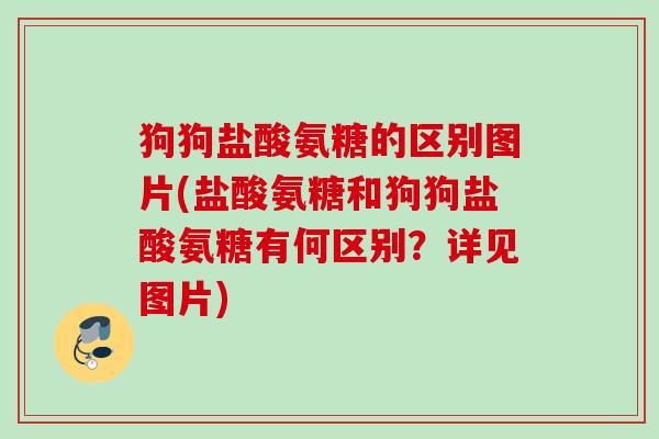 狗狗盐酸氨糖的区别图片(盐酸氨糖和狗狗盐酸氨糖有何区别？详见图片)