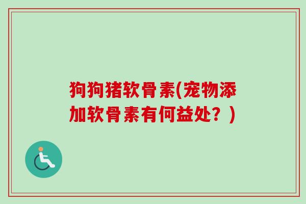 狗狗猪软骨素(宠物添加软骨素有何益处？)