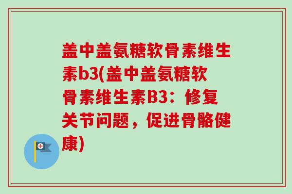 盖中盖氨糖软骨素维生素b3(盖中盖氨糖软骨素维生素B3：修复关节问题，促进骨骼健康)