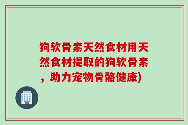 狗软骨素天然食材用天然食材提取的狗软骨素，助力宠物骨骼健康)