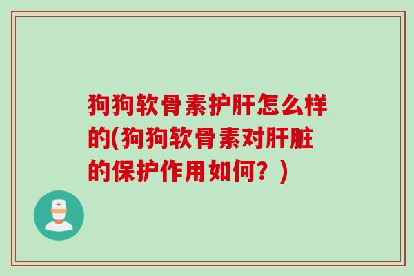 狗狗软骨素护肝怎么样的(狗狗软骨素对肝脏的保护作用如何？)