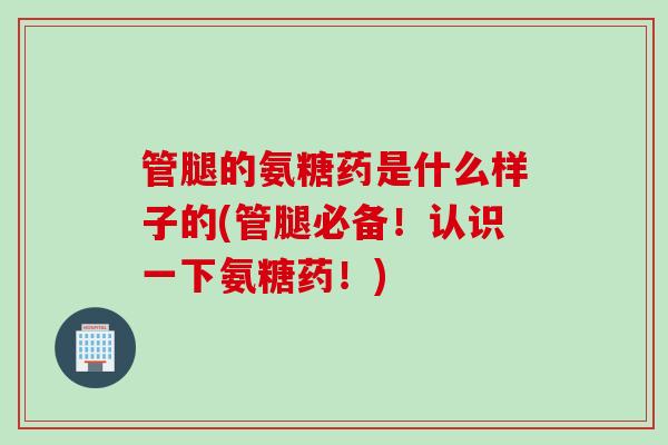 管腿的氨糖药是什么样子的(管腿必备！认识一下氨糖药！)