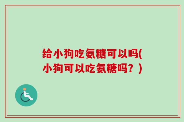 给小狗吃氨糖可以吗(小狗可以吃氨糖吗？)
