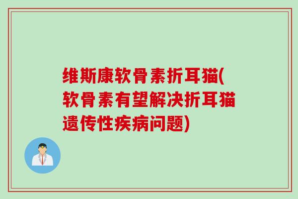 维斯康软骨素折耳猫(软骨素有望解决折耳猫遗传性疾病问题)