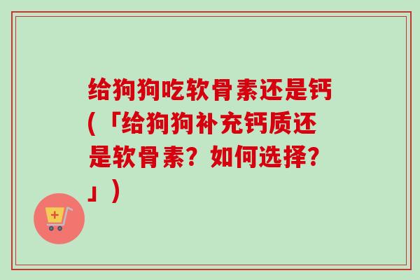 给狗狗吃软骨素还是钙(「给狗狗补充钙质还是软骨素？如何选择？」)