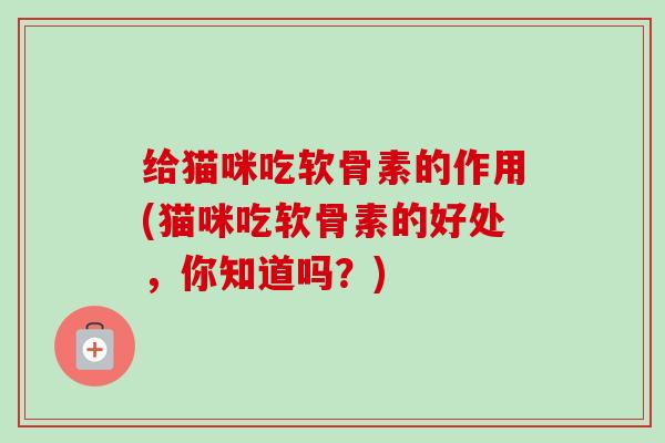 给猫咪吃软骨素的作用(猫咪吃软骨素的好处，你知道吗？)