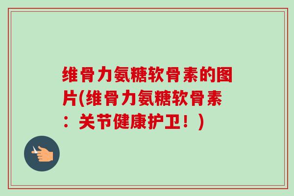 维骨力氨糖软骨素的图片(维骨力氨糖软骨素：关节健康护卫！)