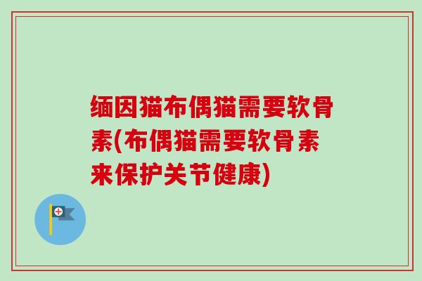 缅因猫布偶猫需要软骨素(布偶猫需要软骨素来保护关节健康)