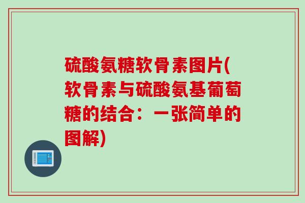 硫酸氨糖软骨素图片(软骨素与硫酸氨基葡萄糖的结合：一张简单的图解)