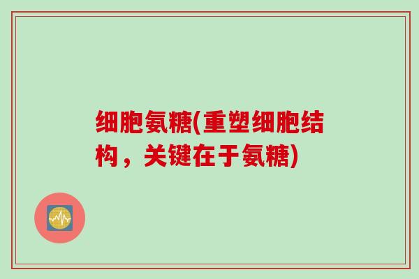 细胞氨糖(重塑细胞结构，关键在于氨糖)