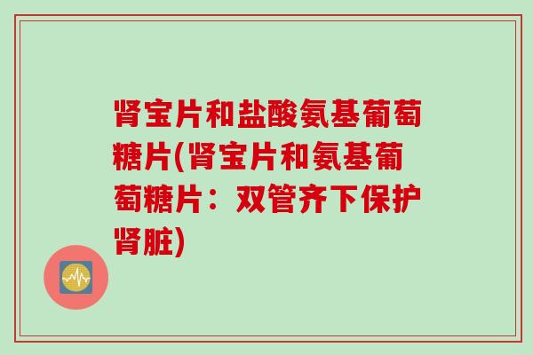 肾宝片和盐酸氨基葡萄糖片(肾宝片和氨基葡萄糖片：双管齐下保护肾脏)
