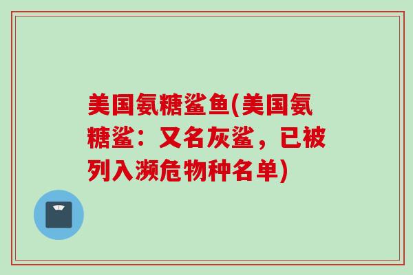 美国氨糖鲨鱼(美国氨糖鲨：又名灰鲨，已被列入濒危物种名单)