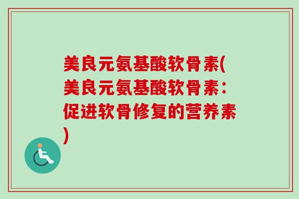 美良元氨基酸软骨素(美良元氨基酸软骨素：促进软骨修复的营养素)