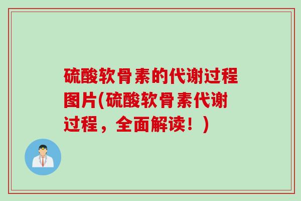 硫酸软骨素的代谢过程图片(硫酸软骨素代谢过程，全面解读！)