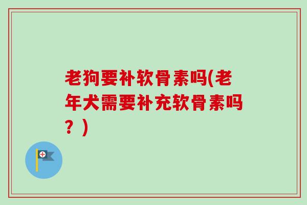 老狗要补软骨素吗(老年犬需要补充软骨素吗？)