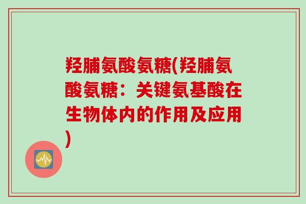 羟脯氨酸氨糖(羟脯氨酸氨糖：关键氨基酸在生物体内的作用及应用)