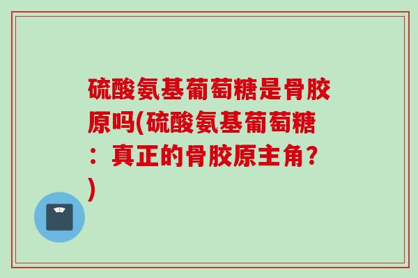 硫酸氨基葡萄糖是骨胶原吗(硫酸氨基葡萄糖：真正的骨胶原主角？)