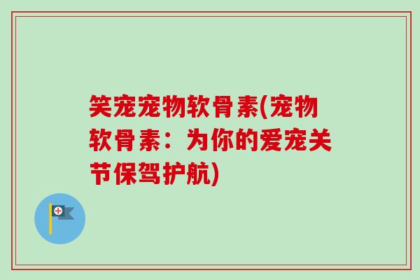 笑宠宠物软骨素(宠物软骨素：为你的爱宠关节保驾护航)