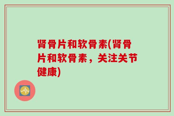 肾骨片和软骨素(肾骨片和软骨素，关注关节健康)
