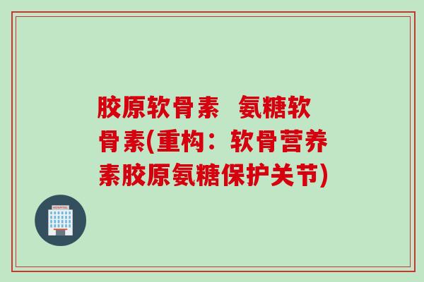 胶原软骨素  氨糖软骨素(重构：软骨营养素胶原氨糖保护关节)