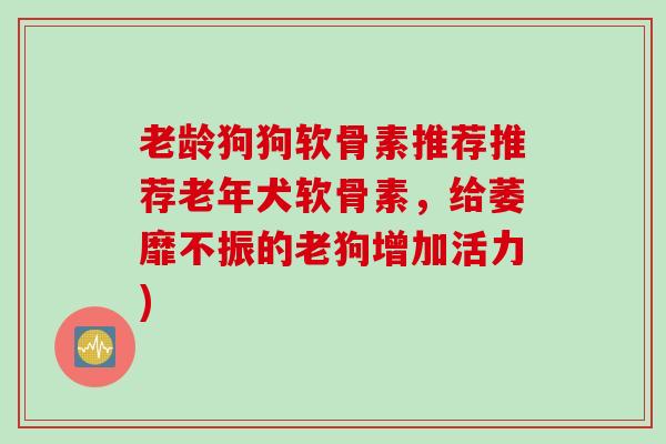 老龄狗狗软骨素推荐推荐老年犬软骨素，给萎靡不振的老狗增加活力)