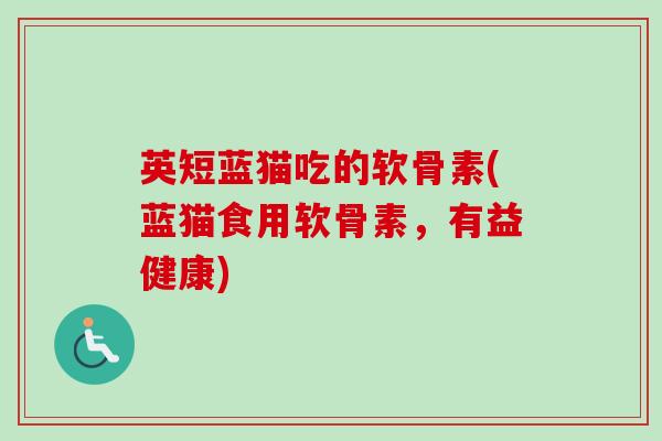 英短蓝猫吃的软骨素(蓝猫食用软骨素，有益健康)