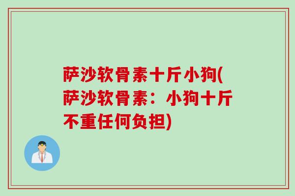 萨沙软骨素十斤小狗(萨沙软骨素：小狗十斤不重任何负担)
