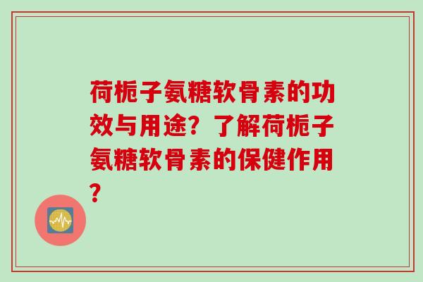 荷栀子氨糖软骨素的功效与用途？了解荷栀子氨糖软骨素的保健作用？