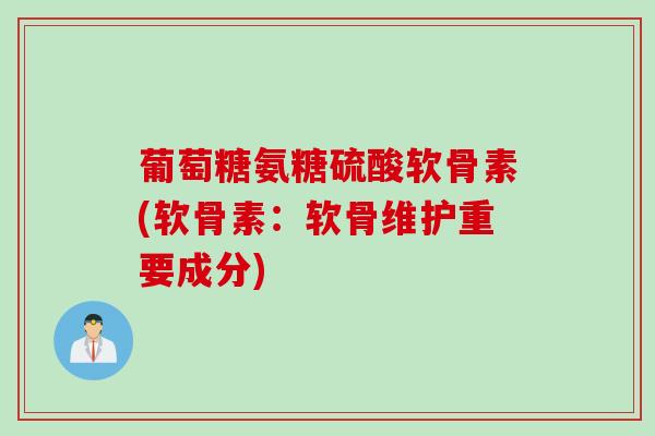 葡萄糖氨糖硫酸软骨素(软骨素：软骨维护重要成分)