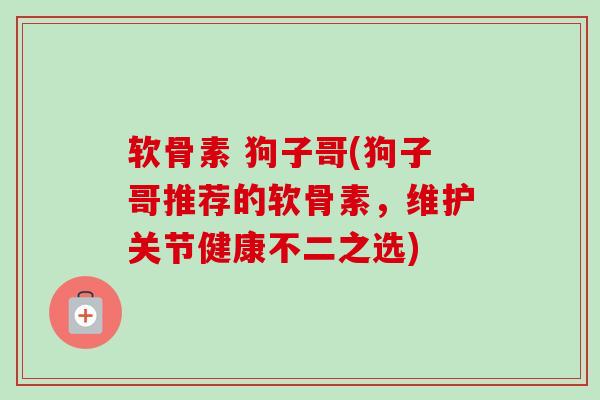 软骨素 狗子哥(狗子哥推荐的软骨素，维护关节健康不二之选)