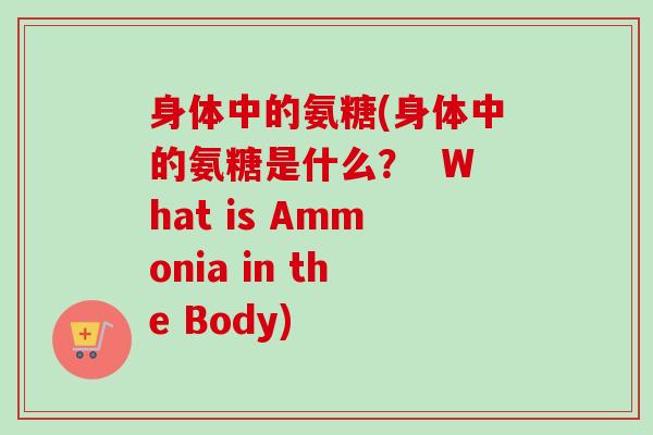 身体中的氨糖(身体中的氨糖是什么？  What is Ammonia in the Body)