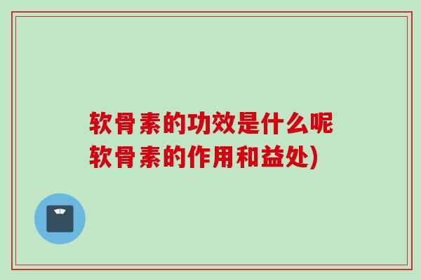 软骨素的功效是什么呢软骨素的作用和益处)