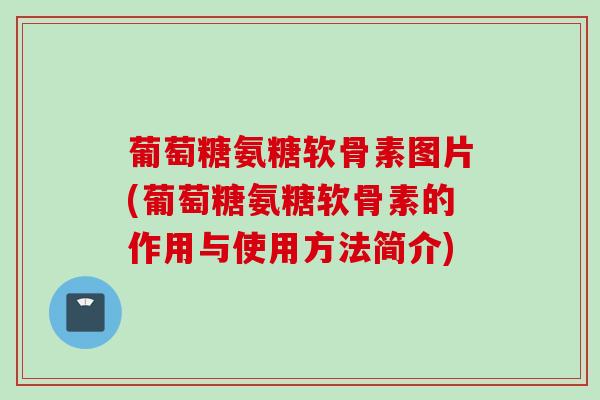 葡萄糖氨糖软骨素图片(葡萄糖氨糖软骨素的作用与使用方法简介)