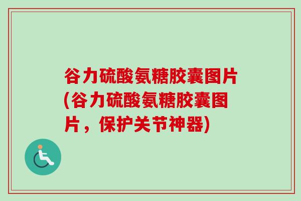 谷力硫酸氨糖胶囊图片(谷力硫酸氨糖胶囊图片，保护关节神器)