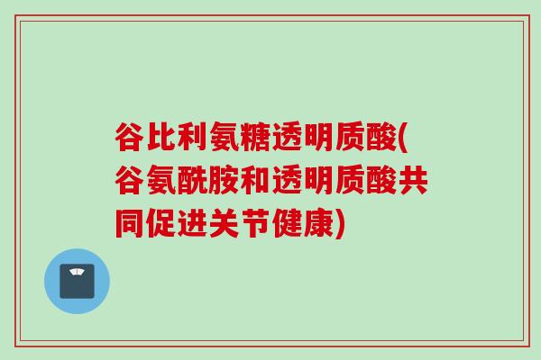 谷比利氨糖透明质酸(谷氨酰胺和透明质酸共同促进关节健康) 谷比利氨糖透明质酸(谷氨酰胺和透明质酸共同促进关节健康)