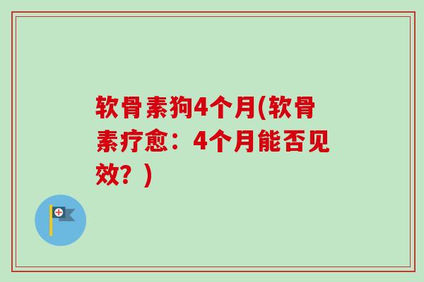 软骨素狗4个月(软骨素疗愈：4个月能否见效？)