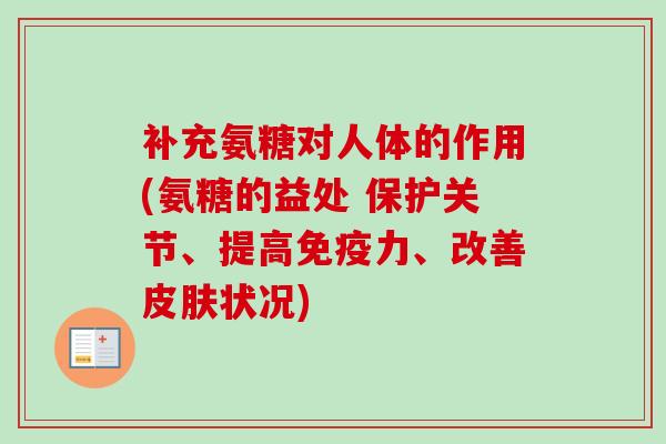 补充氨糖对人体的作用(氨糖的益处 保护关节、提高免疫力、改善皮肤状况)