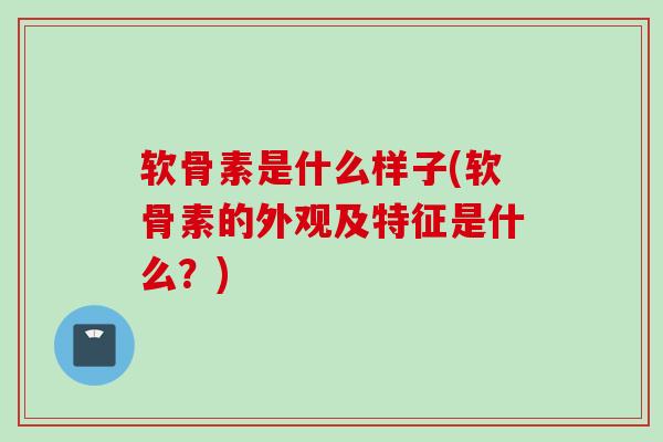 软骨素是什么样子(软骨素的外观及特征是什么？)