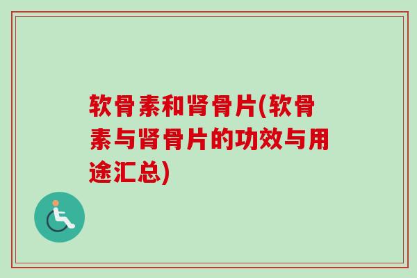 软骨素和肾骨片(软骨素与肾骨片的功效与用途汇总)