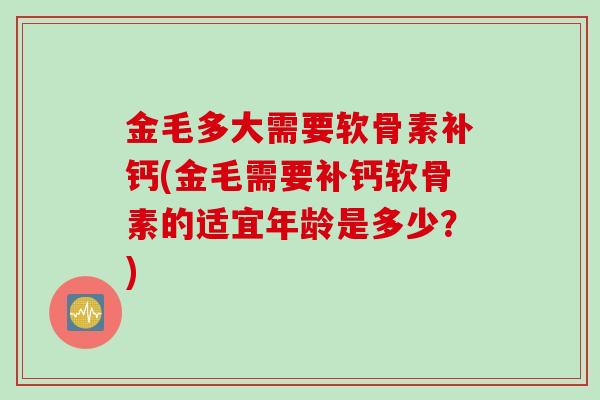 金毛多大需要软骨素补钙(金毛需要补钙软骨素的适宜年龄是多少？)