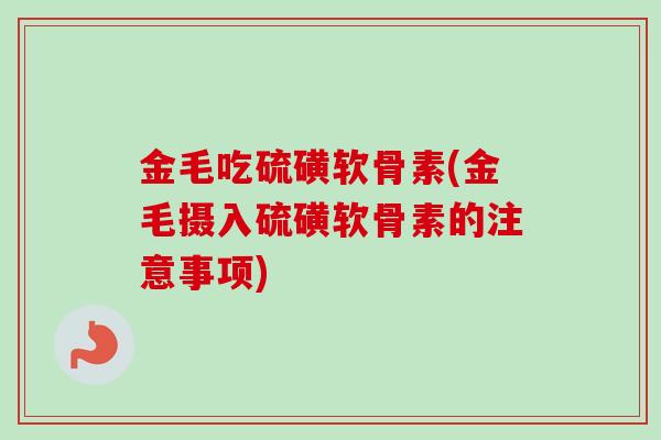 金毛吃硫磺软骨素(金毛摄入硫磺软骨素的注意事项)