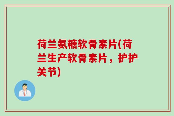 荷兰氨糖软骨素片(荷兰生产软骨素片，护护关节)