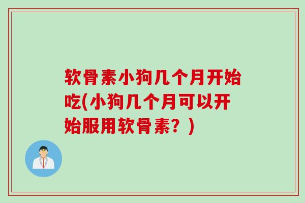 软骨素小狗几个月开始吃(小狗几个月可以开始服用软骨素？)