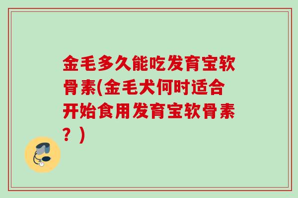 金毛多久能吃发育宝软骨素(金毛犬何时适合开始食用发育宝软骨素？)