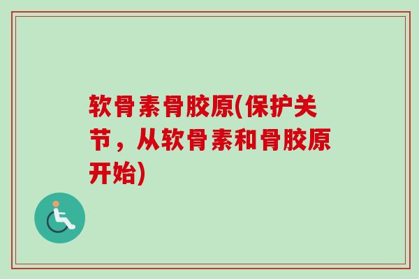 软骨素骨胶原(保护关节，从软骨素和骨胶原开始)